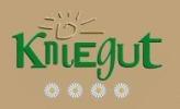 Kniegut